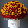 Forever Sunflower & Red Rose Box – Light and Passion in Bloom - Imaginary Worlds