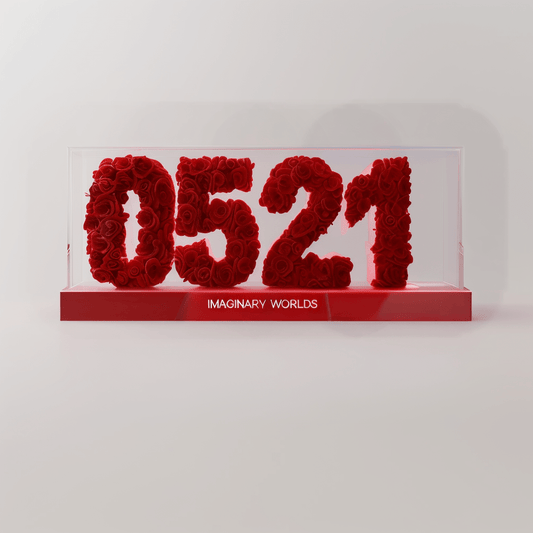 Gemini 521 Rose Box – Celebrating Curiosity and Adaptability - Imaginary Worlds