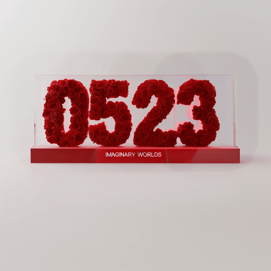 Gemini 523 Rose Box – Celebrating Curiosity and Adventure - Imaginary Worlds