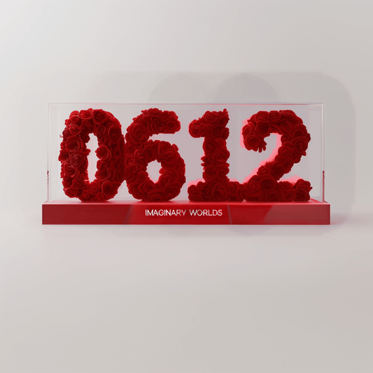 Gemini 612 Rose Box – Versatility and Communication Gift - Imaginary Worlds