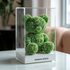 Green Preserved Rose Bear - Imaginary Worlds