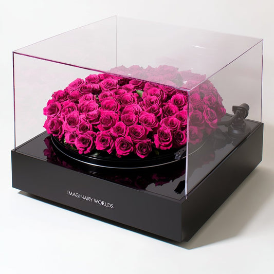 Hot Pink Rose Vinyl Speaker - Imaginary Worlds