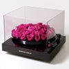 Hot Pink Rose Vinyl Speaker - Imaginary Worlds