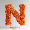 Nike Orange Rose Letter N Lamp - Imaginary Worlds