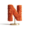 Nike Orange Rose Letter N Lamp - Imaginary Worlds