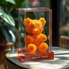 Orange Preserved Rose Bear - Imaginary Worlds