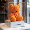 Orange Preserved Rose Bear - Imaginary Worlds