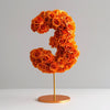 Orange Rose Eternal Number 3 Lamp - Imaginary Worlds