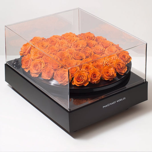 Orange Rose Vinyl Speaker - Imaginary Worlds