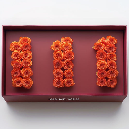 Orange Roses 111 Rose Box - Imaginary Worlds