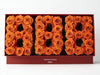 Orange Roses 888 Rose Box - Imaginary Worlds