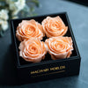 Peach Forever Roses in Black Velvet Box - Imaginary Worlds