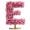 Pink Rose Eternal Letter E Lamp - Imaginary Worlds