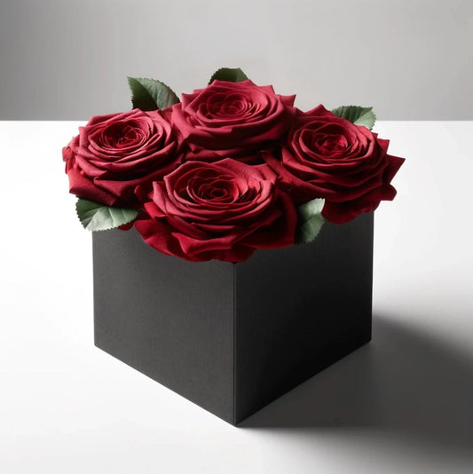 Preserved Burgundy Roses in Black Square Box - Imaginary Worlds