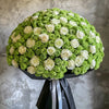 Preserved Green and White Roses Flower Bouquet - Imaginary Worlds