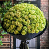 Preserved Yellow and Green Roses Flower Bouquet - Imaginary Worlds