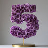 Purple Rose Eternal Number 5 Lamp - Imaginary Worlds