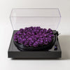 Purple Rose Vinyl Speaker - Imaginary Worlds