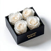 Quartet of White Forever Roses in Black Velvet Box - Imaginary Worlds