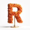 Rhea Orange Rose Letter R Lamp - Imaginary Worlds