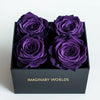 Royal Purple Forever Roses in Black Velvet Box - Imaginary Worlds