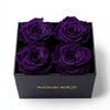 Royal Purple Forever Roses in Black Velvet Box - Imaginary Worlds