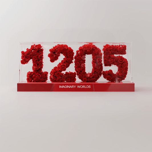 Sagittarius 1205 Rose Box – Adventure and Inspiration - Imaginary Worlds