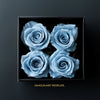 Serene Light Blue Forever Roses in Black Velvet Box - Imaginary Worlds