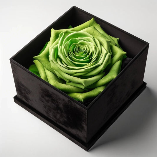 Single Apple Green Rose Silk Box - Imaginary Worlds