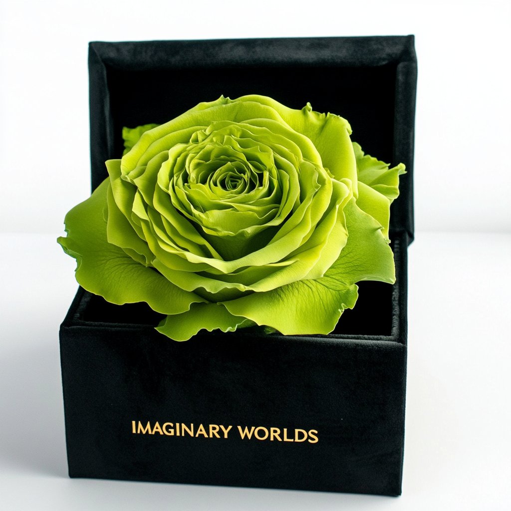 Single Apple Green Rose Silk Box - Imaginary Worlds