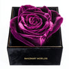 Single Magenta Rose Silk Box - Imaginary Worlds