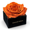 Single Orange Rose Silk Box - Imaginary Worlds