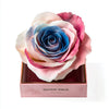 Single Pink, White, and Blue Rose Silk Box - Imaginary Worlds