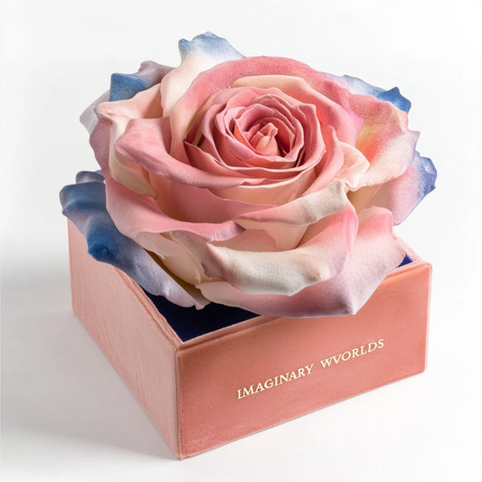 Single Pink, White, and Blue Rose Silk Box - Imaginary Worlds