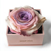 Single Pink, White, and Purple Rose Silk Box - Imaginary Worlds