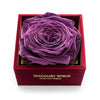 Single Purple Rose Velvet Elegance - Imaginary Worlds