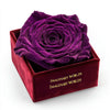 Single Purple Rose Velvet Elegance - Imaginary Worlds