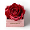 Single Red Rose Barbie Box - Imaginary Worlds