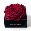 Single Red Rose Silk Box - Imaginary Worlds