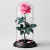 Single Rose in Glass Dome - Imaginary Worlds