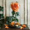 Single Rose in Glass Dome - Imaginary Worlds