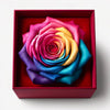 Single Rose Velvet Majesty - Kaleidoscope Elegance - Imaginary Worlds