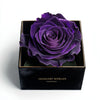 Single Royal Purple Rose Silk Box - Imaginary Worlds