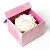 Single White Rose Barbie Box - Imaginary Worlds