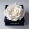 Single White Rose Silk Box - Imaginary Worlds