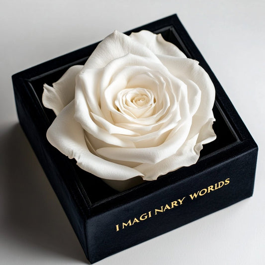 Single White Rose Silk Box - Imaginary Worlds