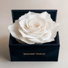 Single White Rose Silk Box - Imaginary Worlds