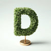 Standing Green Rose Letter D Lamp - Imaginary Worlds