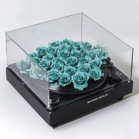 Tiffany Blue Rose Vinyl Speaker - Imaginary Worlds