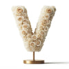 Venus White Rose Letter V Lamp - Imaginary Worlds